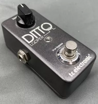 Store Special Product - TC Electronic - Ditto Looper Pedal